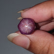 Star Ruby Gemstone Wand Specimen :  24.00cts. Natural Untreated Unheated Red 6Ray Johnson Mines Star Ruby Hexagon Shape 11.5*10mm 1pc