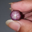 Star Ruby Gemstone Wand Specimen :  30.00cts. Natural Untreated Unheated Red 6Ray Johnson Mines Star Ruby Hexagon Shape 11*9.5mm 1pc