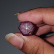 Star Ruby Gemstone Wand Specimen : 38.90cts. Natural Untreated Unheated Red 6Ray Johnson Mines Star Ruby Hexagon Shape 13*12mm 1pc