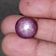 Star Ruby Gemstone Cabochon: 13.50cts - 15.70cts Natural Untreated Unheated Red 6Ray Star Ruby Oval & Round Shape 1pc For Jewelry