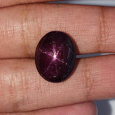 Star Ruby Gemstone Cabochon: 14.90cts - 19.30cts Natural Untreated Unheated Red 6Ray Star Ruby Oval & Round Shape 1pc For Jewelry