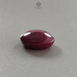 Star Ruby Gemstone Cabochon: 14.90cts - 19.30cts Natural Untreated Unheated Red 6Ray Star Ruby Oval & Round Shape 1pc For Jewelry