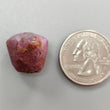 Star Ruby Gemstone Wand Specimen : 42.8cts. Natural Untreated Unheated Red 6Ray Johnson Mines Star Ruby Hexagon Shape 18*14mm 1pc