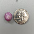 Star Ruby Gemstone Cabochon: Natural Untreated Unheated Red 6Ray Star Ruby Oval Round Shape 1pc for Jewelry