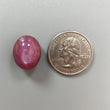 Star Ruby Gemstone Cabochon: Natural Untreated Unheated Red 6Ray Star Ruby Oval Round Shape 1pc for Jewelry