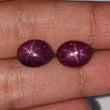 Star Ruby Gemstone Cabochon: Natural Untreated Unheated Red 6Ray Star Ruby Oval & Round Shape 2pc - 3pc Set For Jewelry