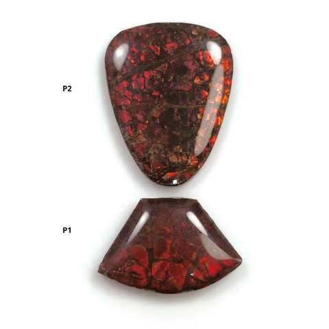 AMMOLITE Gemstone Cabochon : Natural Fossilized Shell Bi-Color Ammolite Uneven Shape Cabochon 14*20mm -  24*19mm 1pc