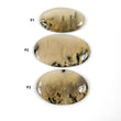 TIGER DENDRITE AGATE Gemstone Cabochon :  Natural Untreated Unheated Bi-Color Agate Oval Shape 38*22mm - 45*27mm 1pc