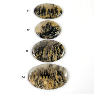 टाइगर डेंड्राइट एगेट रत्न कैबोकॉन: प्राकृतिक अनुपचारित बिना गर्म किया हुआ द्वि-रंग एगेट अंडाकार आकार 35*26 मिमी - 50*30 मिमी 1 पीसी