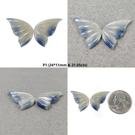 Bi-Color Butterfly