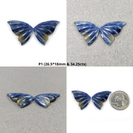 Sapphire Butterfly