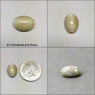 CHRYSOBERYL CAT'S EYE Gemstone Cabochon : Natural Untreated Unheated Cat's Eye Round And Oval Shape 1pcs 2pcs & 3pcs