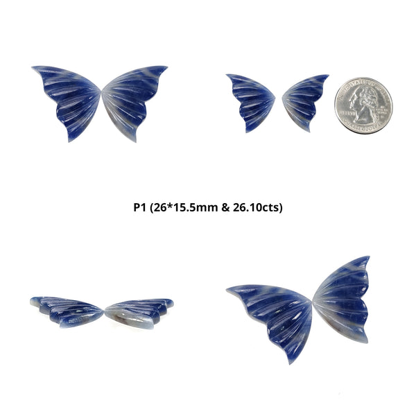 नीलम रत्न नक्काशी: प्राकृतिक अनुपचारित नीला नीलम हाथ नक्काशीदार तितली जोड़े