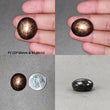 Star Sapphire Gemstone Cabochon : Natural Untreated Golden Brown Chocolate Sapphire 6Ray Star Oval Shape