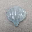 Aquamarine Sea Shell
