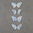 RAINBOW MOONSTONE Gemstone Carving : Natural Untreated Unheated Moonstone Hand Carved BUTTERFLY Pair (With Video)