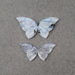 Moonstone Gemstone Carving : 39.05cts Natural Untreated Rainbow Moonstone Hand Carved Butterfly 20*11.5mm - 25*15mm 2Pairs