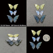 Labradorite Moonstone And Opal Gemstone Carving : Natural Untreated Unheated Hand Carved Butterfly 2pair & 3Pair Set