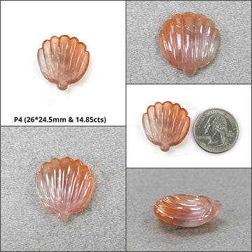 Sea Shell Carving