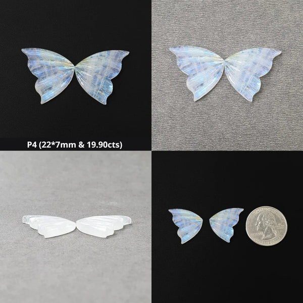 Moonstone Butterfly