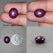Star Ruby Gemstone Cabochon : Natural Untreated Unheated Red 6Ray Star Ruby Oval Shape