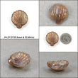 Agate Gemstone Carving : Natural Untreated Unheated Orange Agate Hand Carved SEA SHELL