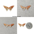 Chatoyant ORANGE SUNSTONE Gemstone Carving Natural Untreated Sunstone Hand Carved Butterfly Pair (With Video)