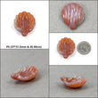 Agate Gemstone Carving : Natural Untreated Unheated Orange Agate Hand Carved SEA SHELL