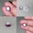 स्टार नीलम रत्न कैबोचोन: प्राकृतिक अनुपचारित अफ्रीकी गुलाबी नीलम 6 रे स्टार गोल और अंडाकार आकार सेट