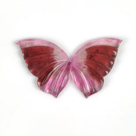 Watermelon TOURMALINE Gemstone Carving : 20.87cts Natural Untreated Pink Tourmaline Hand Carved Butterfly 28*17mm Pair (With Video)