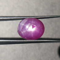 Exclusive Rare Record Keeper In STAR SAPPHIRE Gemstone Cabochon : 6.75cts Natural Untreated African 6Ray Pink Star Sapphire Oval Shape 11*9mm