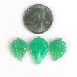 GREEN CHRYSOPRASE Gemstone Carving : 21.50cts Natural Untreated Chrysoprase Both Side Hand Carved Leaves 19*13mm - 22*15mm 3pcs