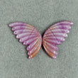 Sapphire Butterfly