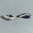 BOTSWANA AGATE Gemstone June Birthstone : 18.50cts Natural Untreated Agate Hand Carved BUTTERFLY Carving 31*13mm Pair