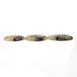 TIGER DENDRITE AGATE Gemstone Cabochon :  Natural Untreated Unheated Bi-Color Agate Oval Shape 35*23mm - 38*26mm 1pc
