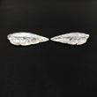 RAINBOW MOONSTONE Gemstone Carving : 27.50cts Natural Untreated Unheated Moonstone Hand Carved Leaves 32*19mm - 34.5*20.5mm 2pcs(With Video)