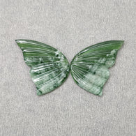 Serpentine Butterfly