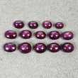 STAR RUBY Gemstone Cabochon : 48.45cts Natural Untreated Unheated Red 6Ray Star Ruby Oval Shape 7*5.5mm - 9*8.5mm 14pcs (With Video)