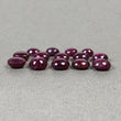 STAR RUBY Gemstone Cabochon : 48.45cts Natural Untreated Unheated Red 6Ray Star Ruby Oval Shape 7*5.5mm - 9*8.5mm 14pcs (With Video)
