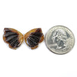 Botswana Agate Butterfly