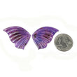 Purple Sapphire Butterfly