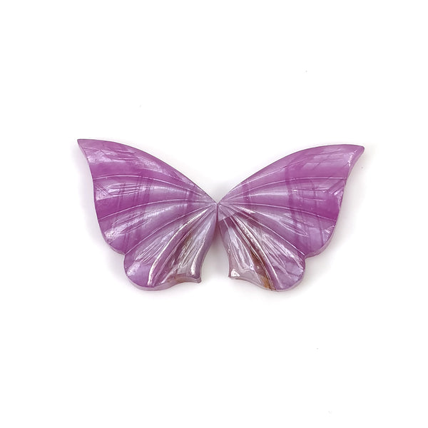 Raspberry Sapphire Butterfly