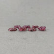 TOURMALINE Gemstone Carving : 13.70cts Natural Untreated Pink Rubellite Tourmaline Hand Carved Flowers 12.5*7.5mm - 10*7mm 7pc
