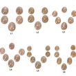 PEACH MOONSTONE Gemstone Rose Cut : Natural Untreated Unheated Moonstone Uneven Egg Shape 5pcs 6pcs & 7pcs