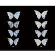 Moonstone Gemstone Carving : Natural Untreated Unheated Moonstone Hand Carved Butterfly 4Pair Sets