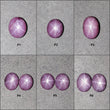 स्टार नीलम रत्न कैबोचोन: प्राकृतिक अनुपचारित अफ्रीकी गुलाबी नीलम 6 रे स्टार ओवल आकार 1 पीस और 2 पीस