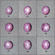 Star Sapphire Gemstone Cabochon : Natural Untreated African Pink Sapphire 6Ray Star Oval & Round Shape