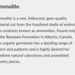 Rare Fire AMMOLITE Gemstone Cabochon : Natural Fossilized Shell Bi-Color Ammolite Pear & Uneven Shapes Cabochon 1pc