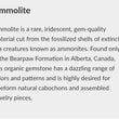 AMMOLITE Gemstone Cabochon : 56.90cts Natural Fossilized Shell Bi-Color Ammolite Trapezium Shape Cabochon 29*36mm (With Video)