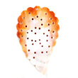 Exclusive Orange MOTHER Of PEARL Gemstone LEAF : 48.00cts Natural Untreated Orange Mop Gemstone Hand Carved Indian Leaf 55*34mm For Pendant